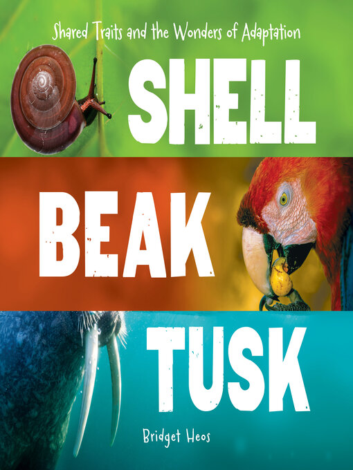Cover image for Shell, Beak, Tusk